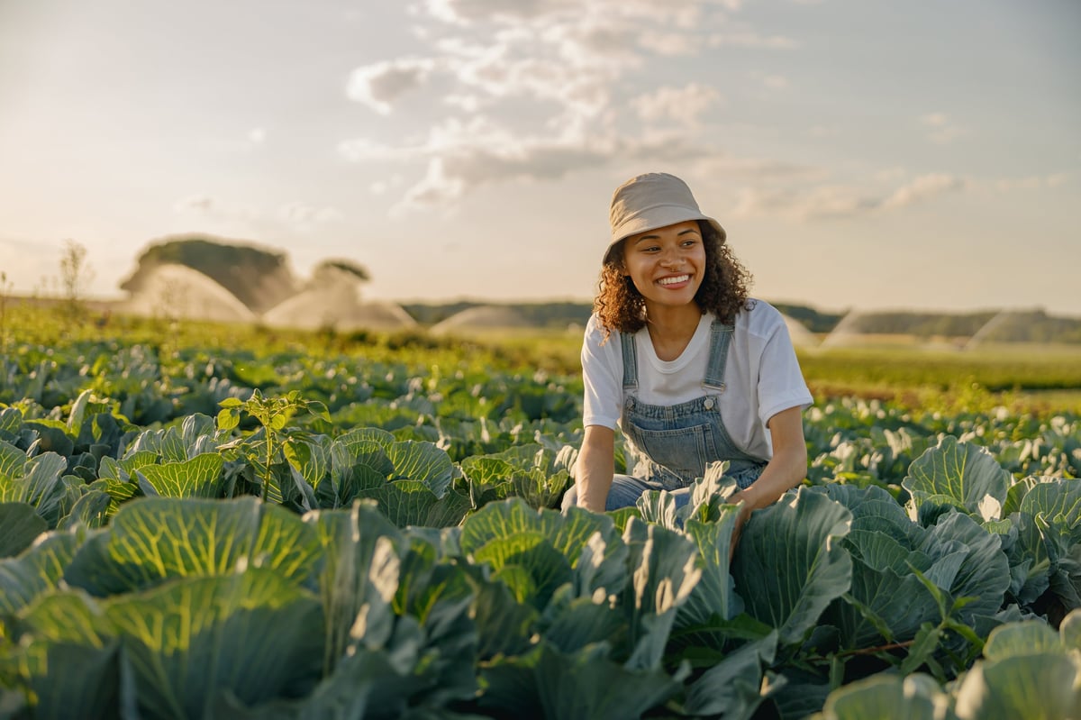 Agricultora em uniforme trabalhando no campo de repolho