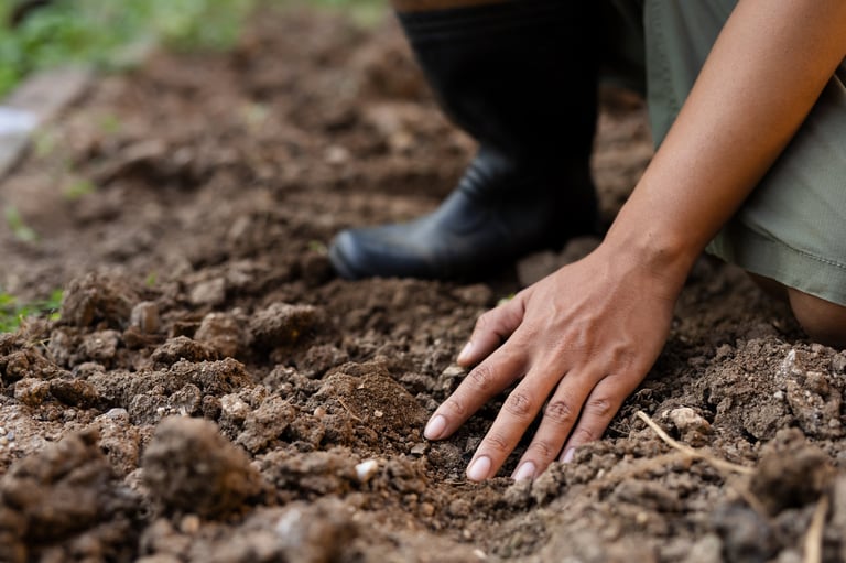 Soil Health and Quality check by expert farmer.