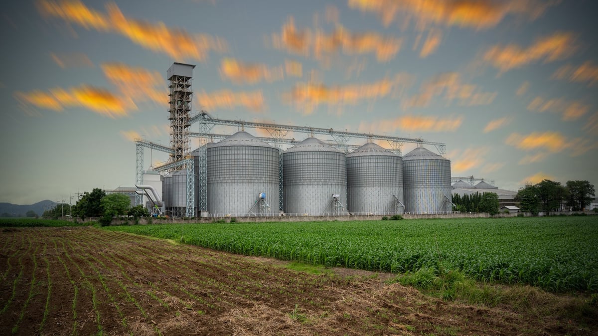 Agricultural processing facility with silos