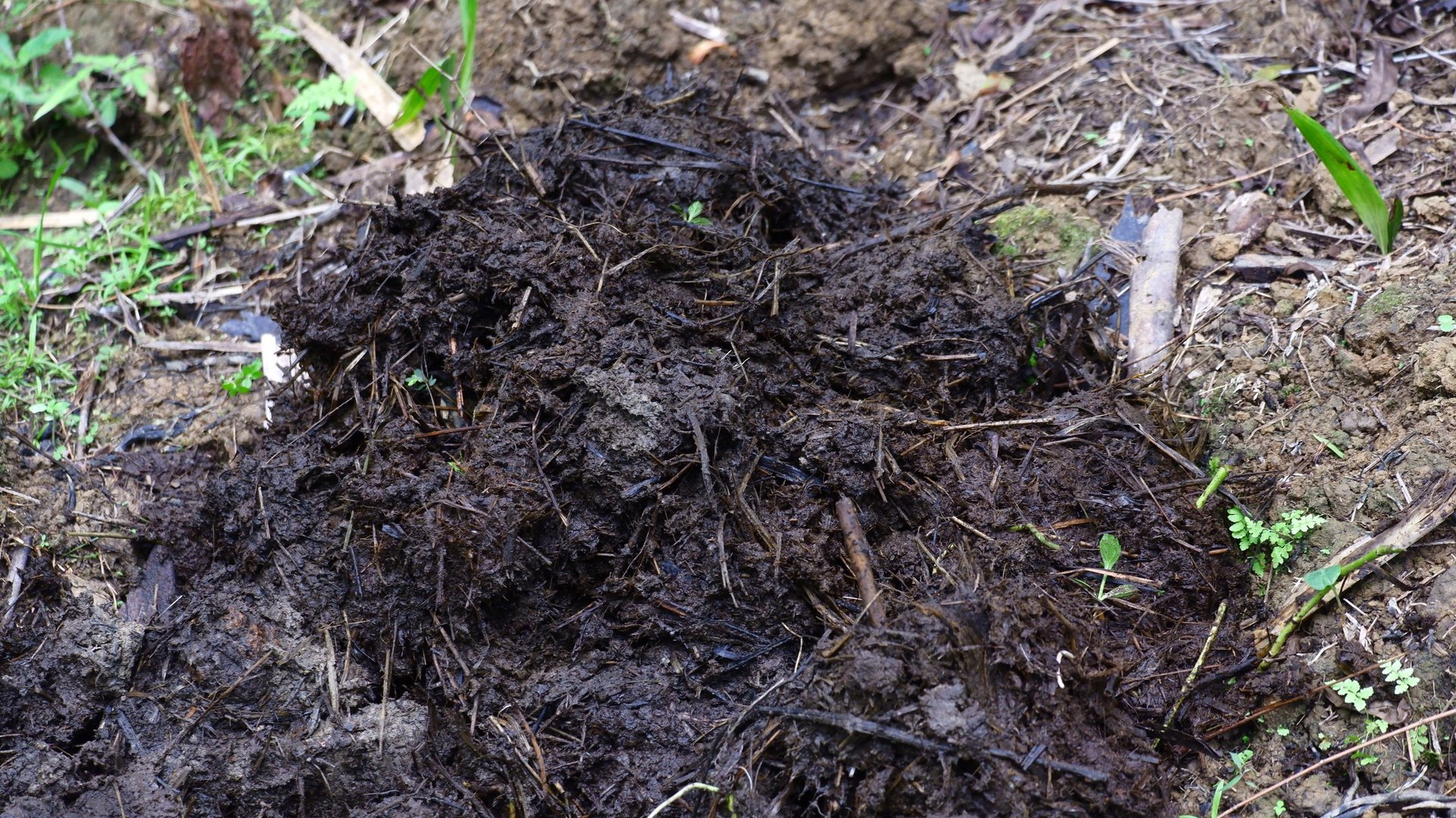 Organic fertilizer pile