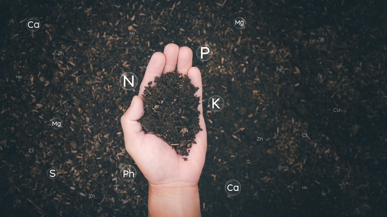 Fertile soil with nutrients