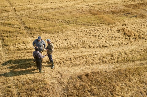 Three men discussing in harvested field