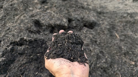 Close-up of fertile soil held in hand