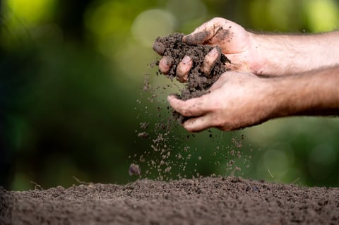 Soil concept. Hands holding fertile soil. Checking soil
