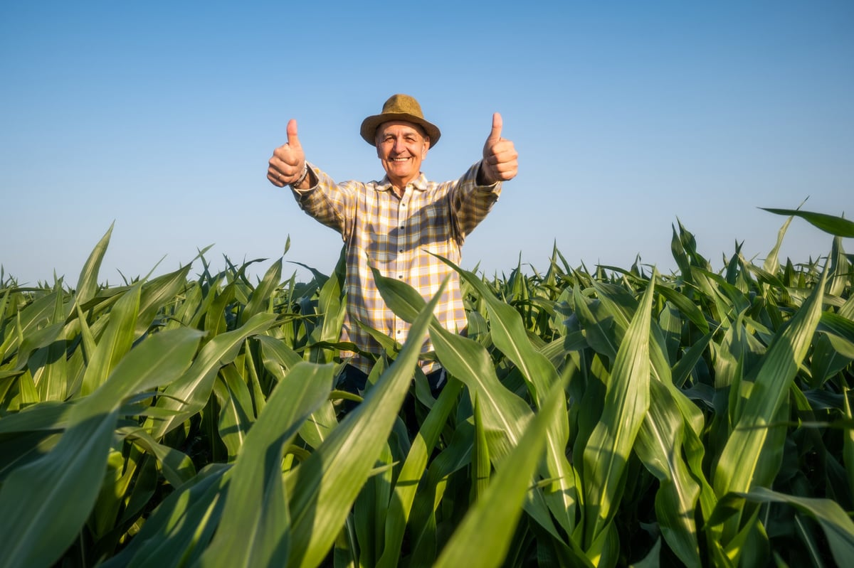 Agricultor exitoso de pie en su campo de maíz