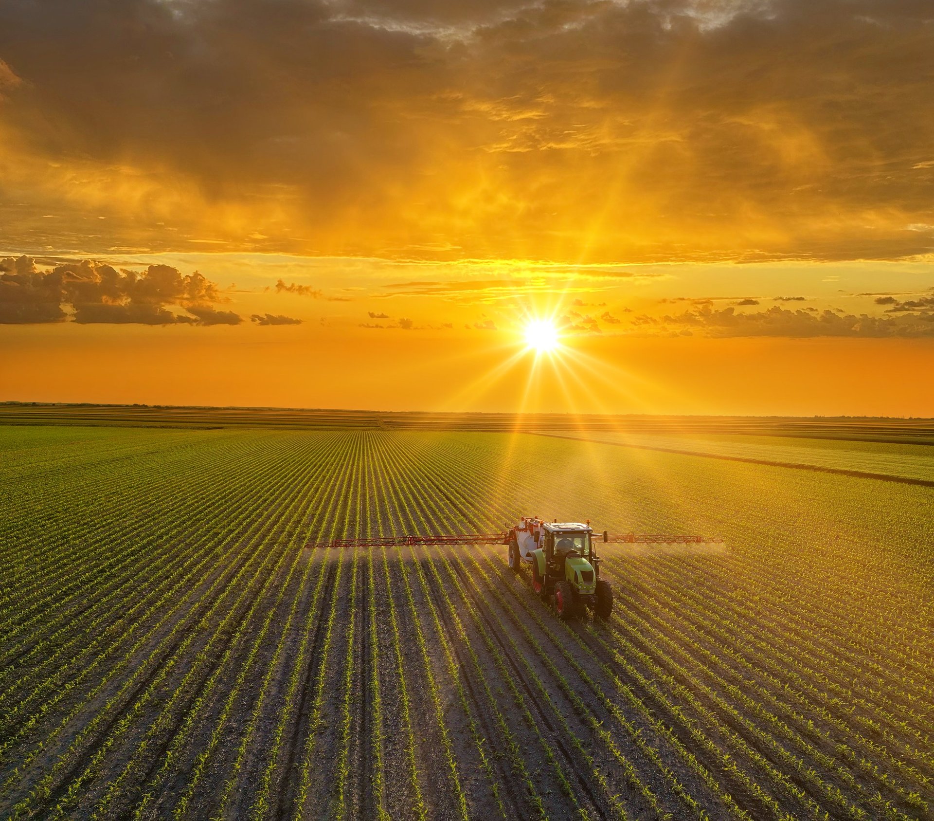 Aerial view of crop sprayer working on a corn field at sunset